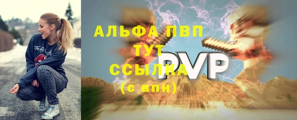 PSILOCYBIN Верея
