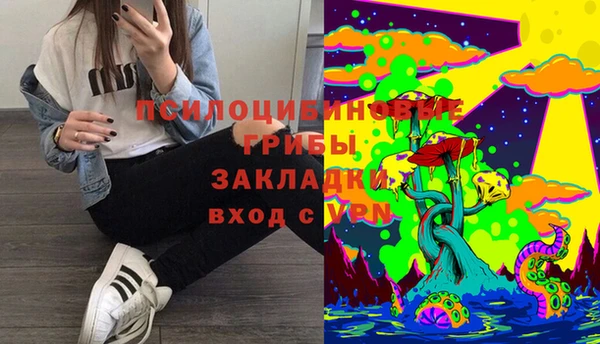 СК Верхний Тагил