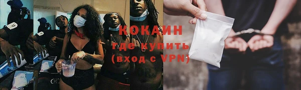 apvp Вяземский