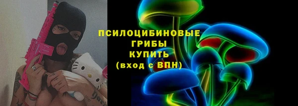 PSILOCYBIN Верея