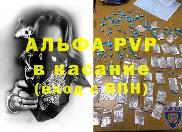 PSILOCYBIN Верея