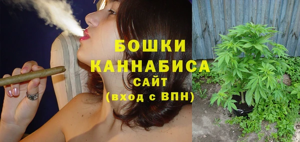 PSILOCYBIN Верея